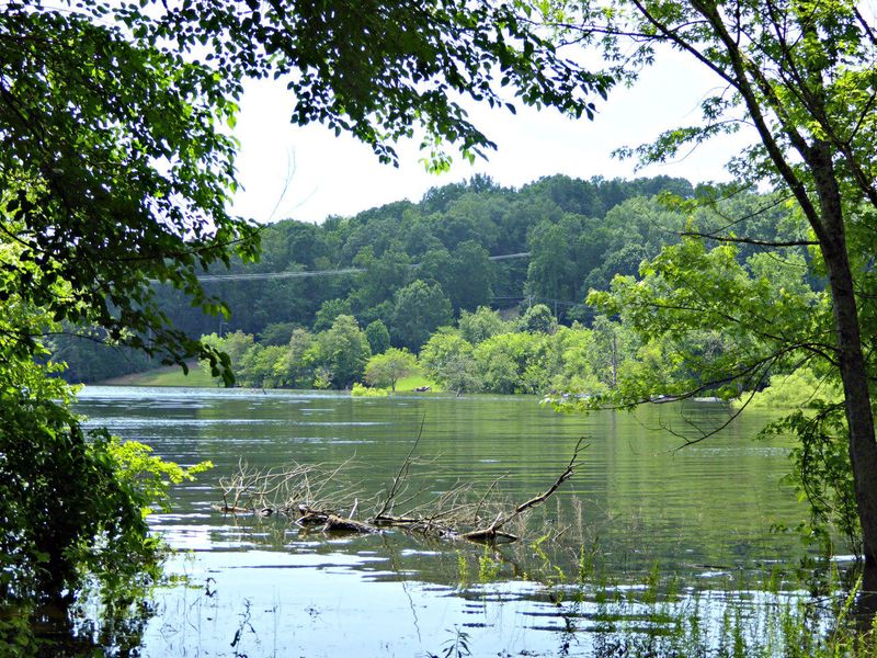 0 Ernie Roberts Rd, Rutledge, TN 37861