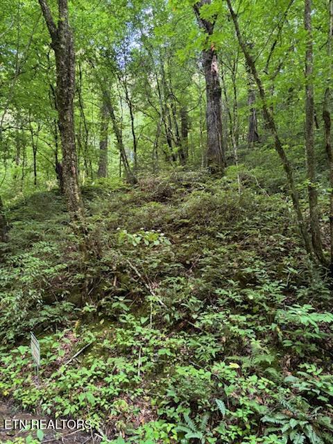 0 Esslinger Dr & Low Gap Rd, Gatlinburg, TN 37738