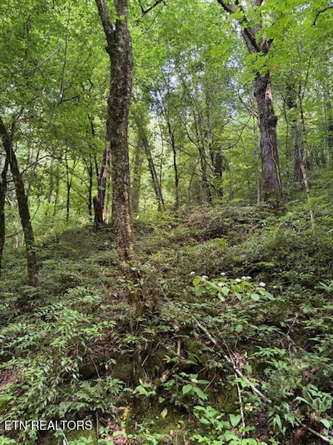 0 Esslinger Dr & Low Gap Rd, Gatlinburg, TN 37738