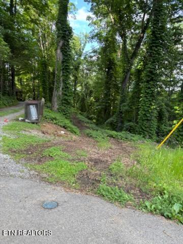 0 Esslinger Dr & Low Gap Rd, Gatlinburg, TN 37738