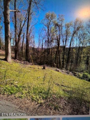 0 Esslinger Dr & Low Gap Rd, Gatlinburg, TN 37738