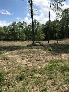 0 Ett Brown Rd, Deer Lodge, TN 37726