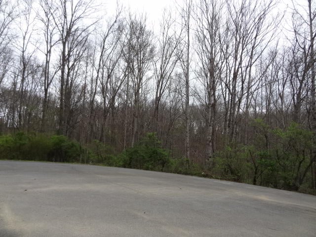 0 Eugene Ct, Crossville, TN 38555