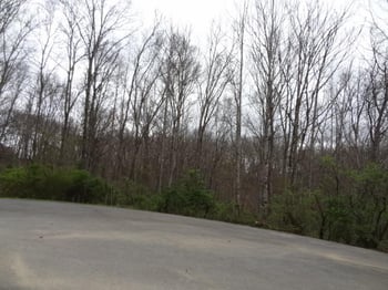 0 Eugene Ct, Crossville, TN 38555