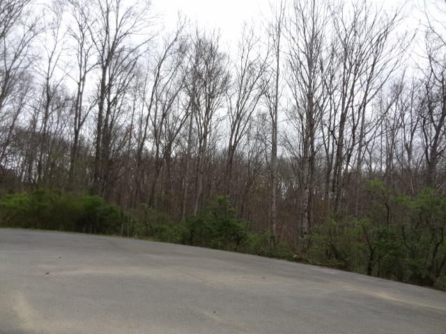0 Eugene Ct, Crossville, TN 38555