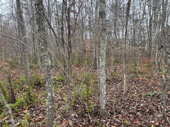 0 Everett Ln, Robbins, TN 37852