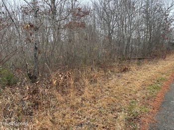 0 Everett Ln, Robbins, TN 37852