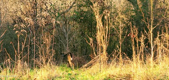 0 Evergreen Cv, Kingston, TN 37763