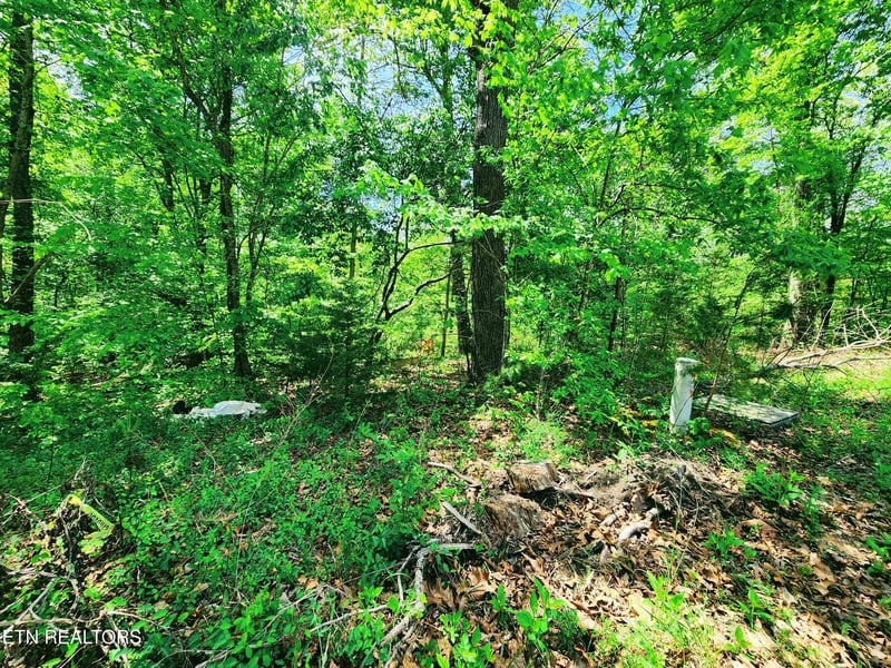 0 Evergreen Cv, Kingston, TN 37763