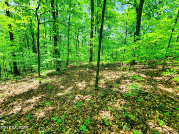 0 Evergreen Cv, Kingston, TN 37763