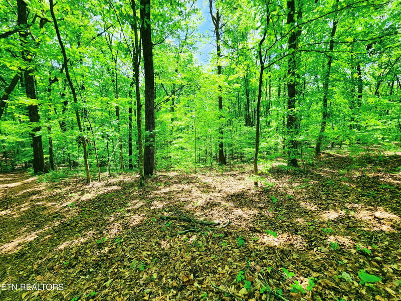0 Evergreen Cv, Kingston, TN 37763