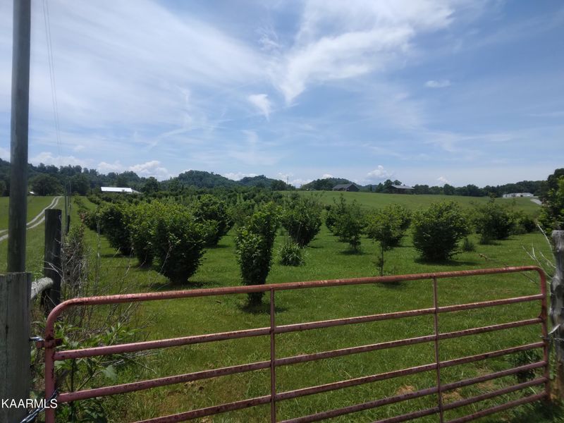 0 Everhart Rd, Tellico Plains, TN 37385