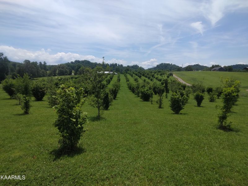 0 Everhart Rd, Tellico Plains, TN 37385