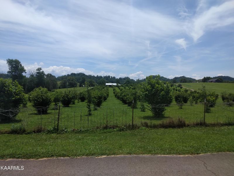 0 Everhart Rd, Tellico Plains, TN 37385