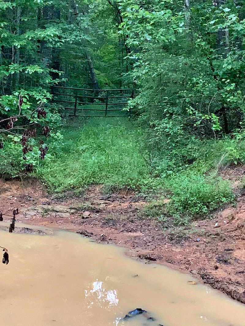 0 E/o Station Camp Rd, Oneida, TN 37841