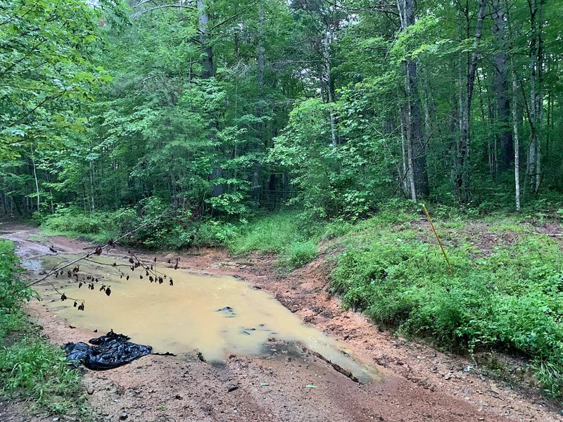 0 E/o Station Camp Rd, Oneida, TN 37841
