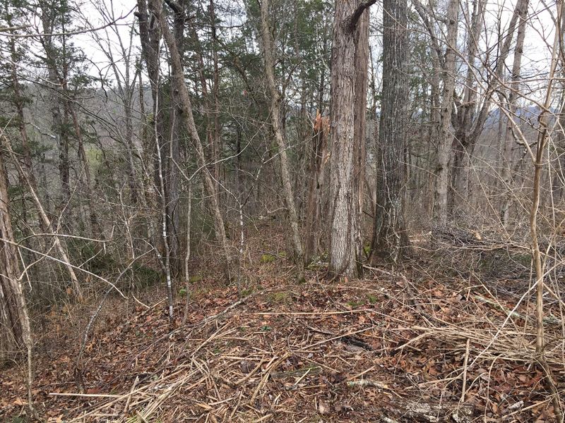 0 Fairway Circle Lot 9, Townsend, TN 37882