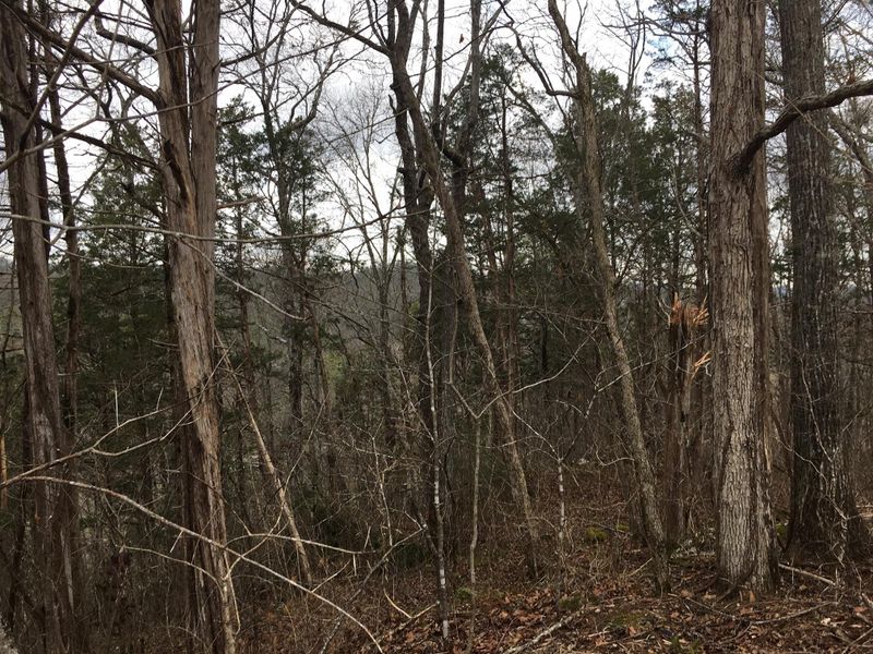 0 Fairway Circle Lot 9, Townsend, TN 37882