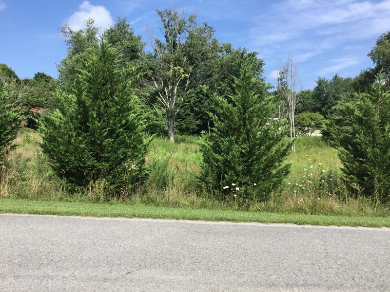 0 Fallingbrook Dr #76-77, Crossville, TN 38555