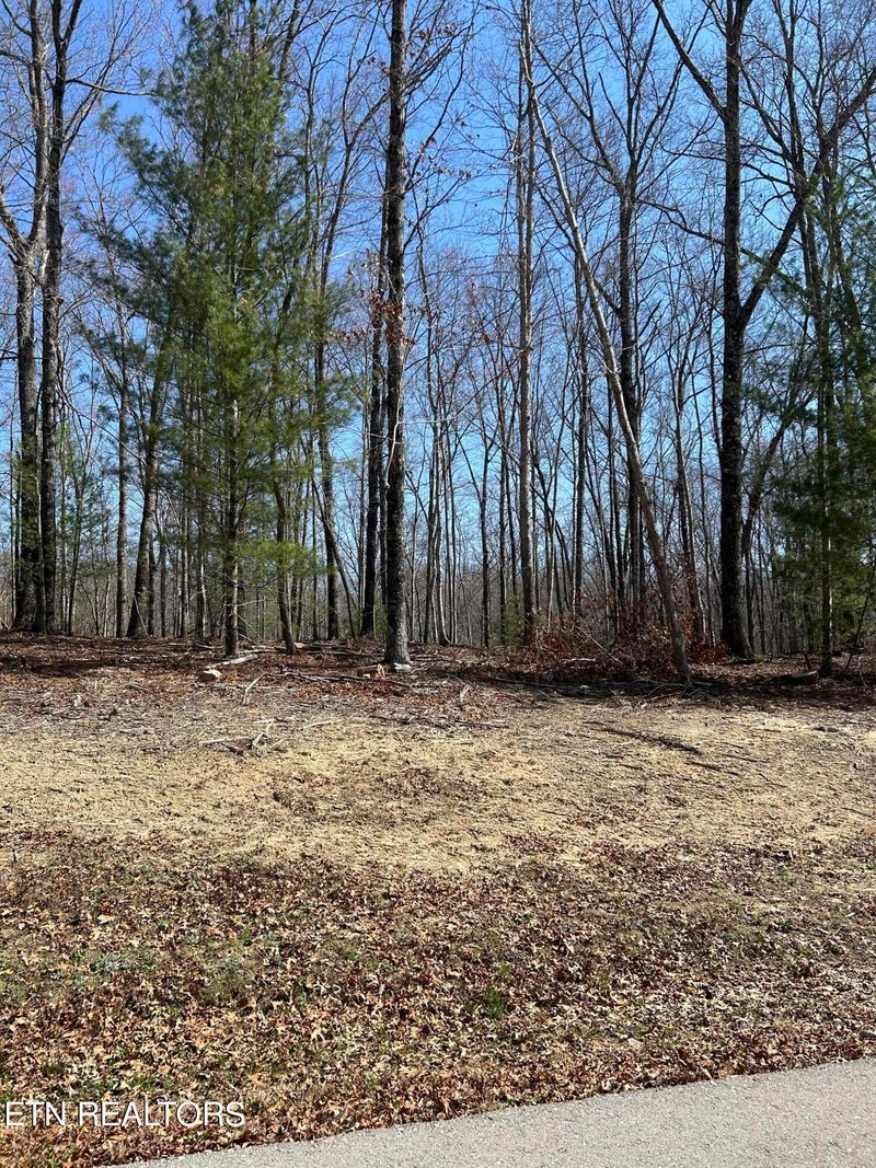 0 Falls Ln, Oneida, TN 37841