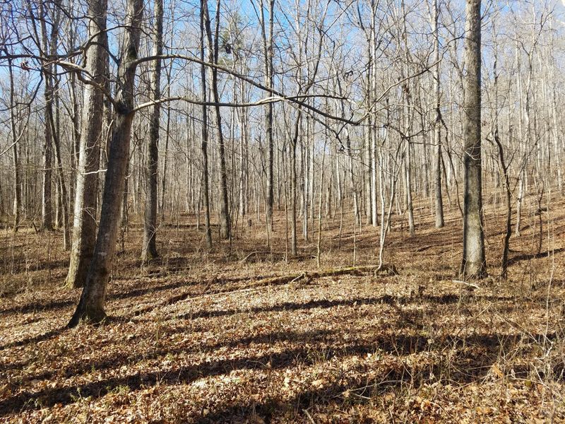 0 Farrs Rd, Kingston, TN 37763