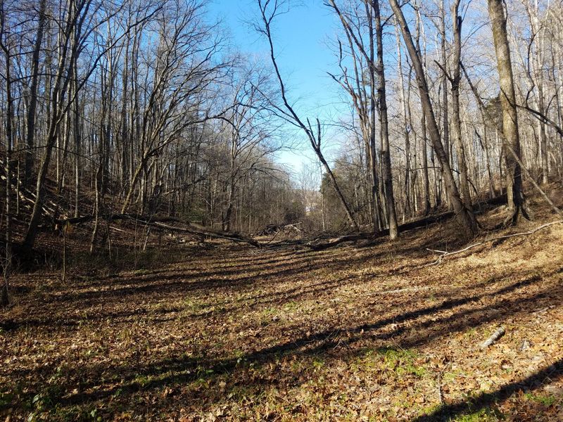 0 Farrs Rd, Kingston, TN 37763