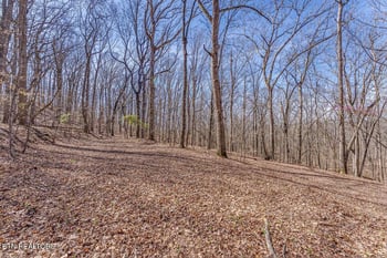 0 Fawn Rest Dr #A 13, Rockwood, TN 37854