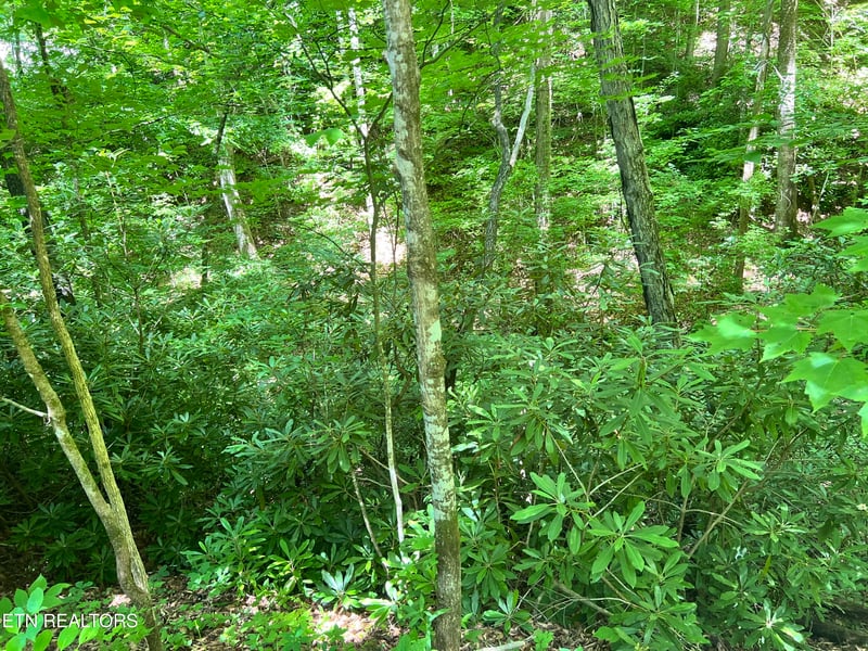 0 Fir Dr Lot 110, Sevierville, TN 37876