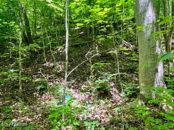 0 Fir Dr Lot 110, Sevierville, TN 37876