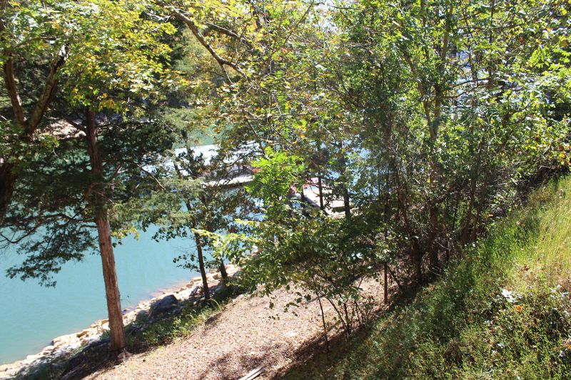0 Flat Hollow Marina Rd, Speedwell, TN 37870