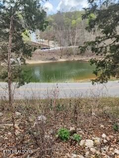 0 Flat Hollow Rd, Speedwell, TN 37870