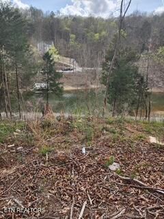 0 Flat Hollow Rd, Speedwell, TN 37870