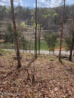 0 Flat Hollow Rd, Speedwell, TN 37870