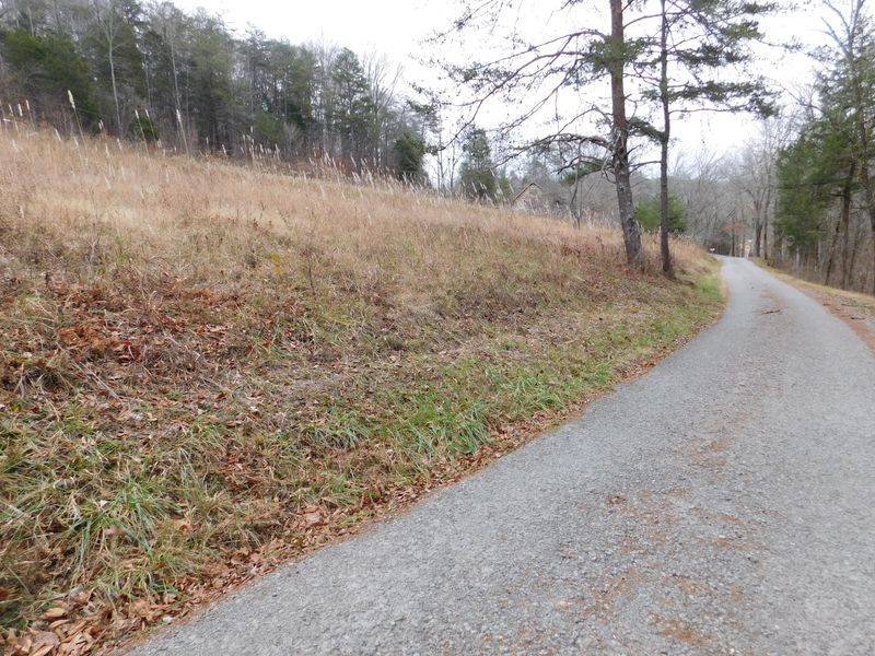 0 Flat Land Ln, Speedwell, TN 37870