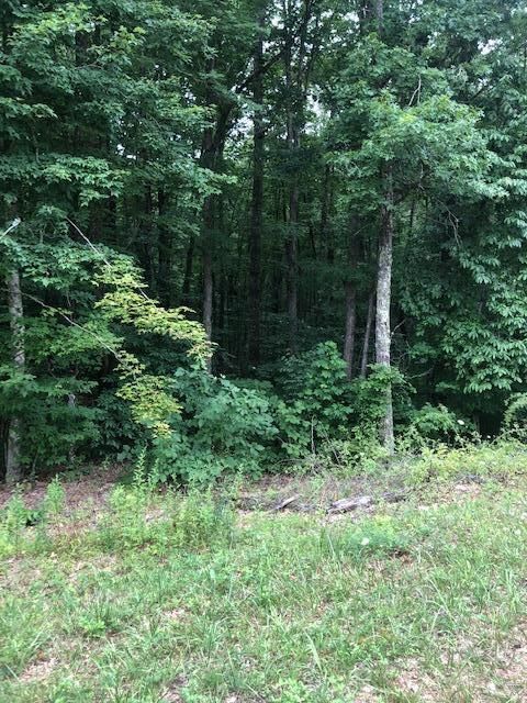 0 Flat Rock Pl, Monterey, TN 38574