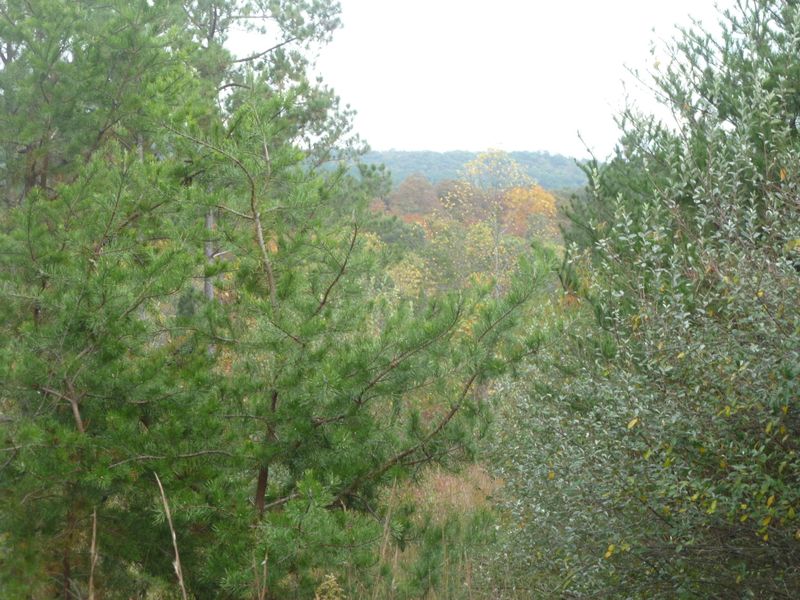 0 Flat Rock Rd, Crossville, TN 38572