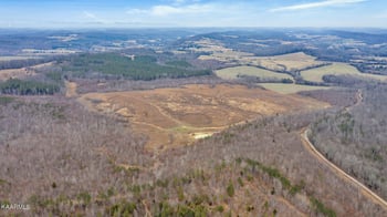 0 Flat Woods Rd, Philadelphia, TN 37846