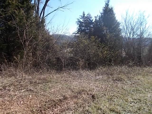 0 Fleenor Mill Rd, Heiskell, TN 37754