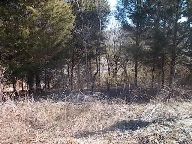 0 Fleenor Mill Rd, Heiskell, TN 37754