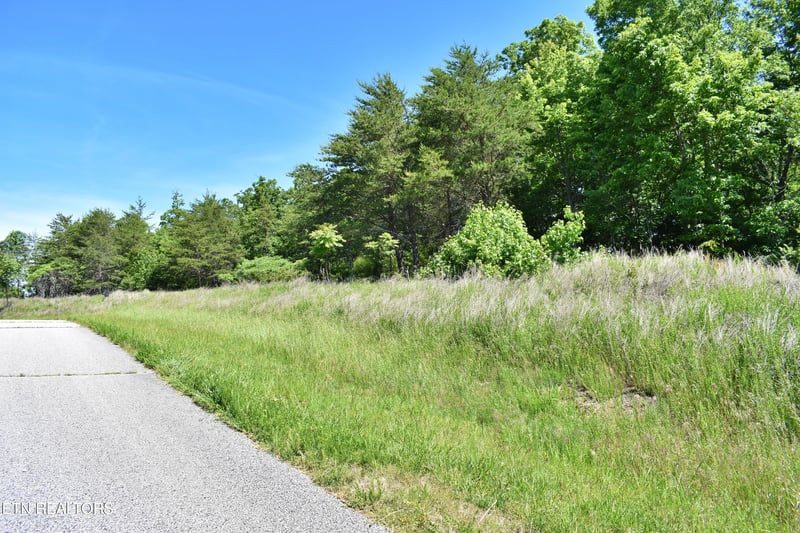 0 Flint Ridge Rd, Rockwood, TN 37854