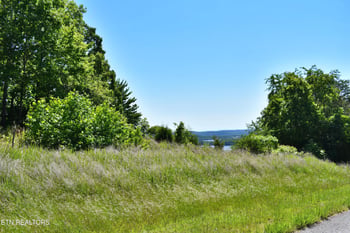 0 Flint Ridge Rd, Rockwood, TN 37854