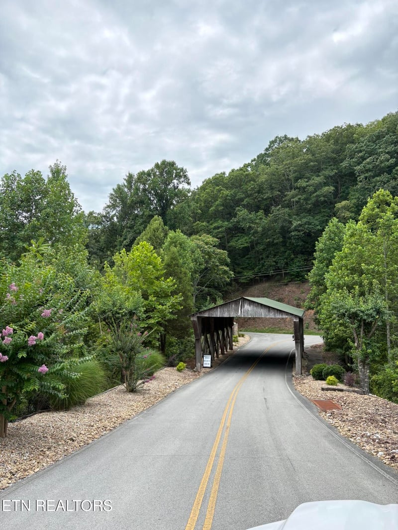 0 Flint Ridge Road Lot 417, Rockwood, TN 37854