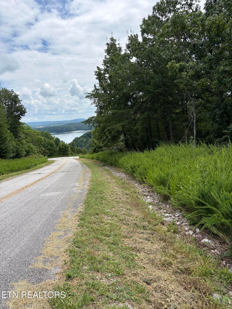 0 Flint Ridge Road Lot 417, Rockwood, TN 37854