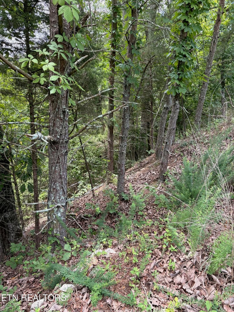 0 Flint Ridge Road Lot 417, Rockwood, TN 37854