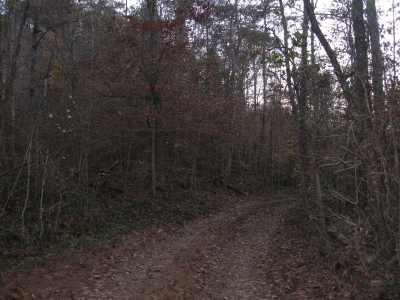 0 Floyd Porter Rd, Maryville, TN 37803