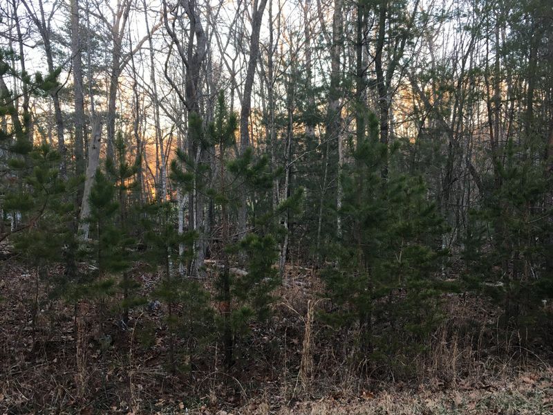 0 Forest Hill Dr, Crossville, TN 38558
