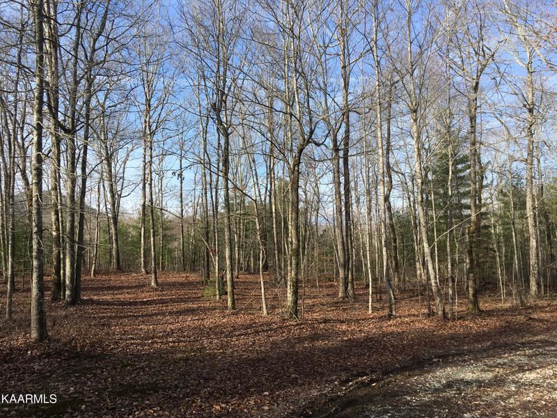 0 Forest Ridge Dr, Harriman, TN 37748