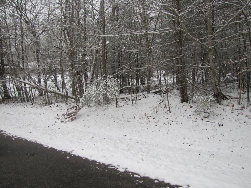 0 Forest View Dr, Fairfield Glade, TN 38558
