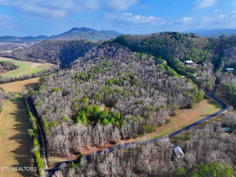 0 Forest Vw, Tellico Plains, TN 37385
