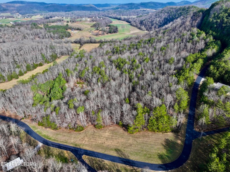 0 Forest Vw, Tellico Plains, TN 37385